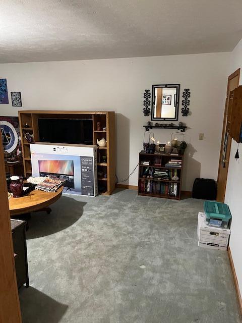 366 Good Springs Road Property Photo 39