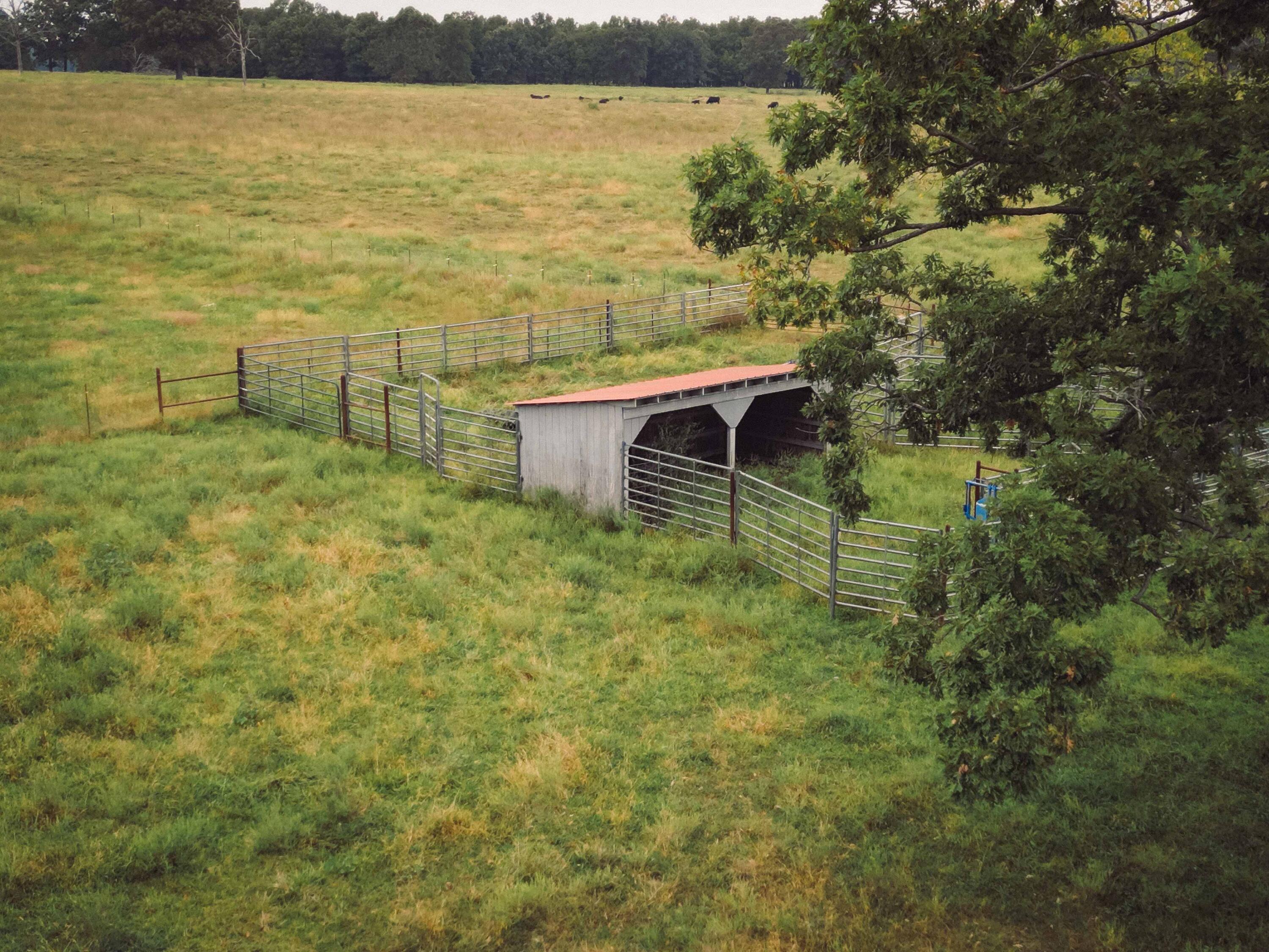 4461 Highway Jj Property Photo 19
