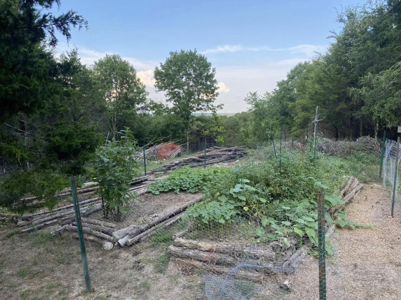 2248 Flynn Rd Property Photo 3