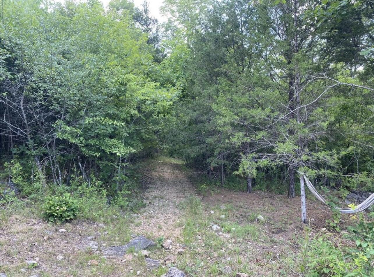 2248 Flynn Rd Property Photo 11