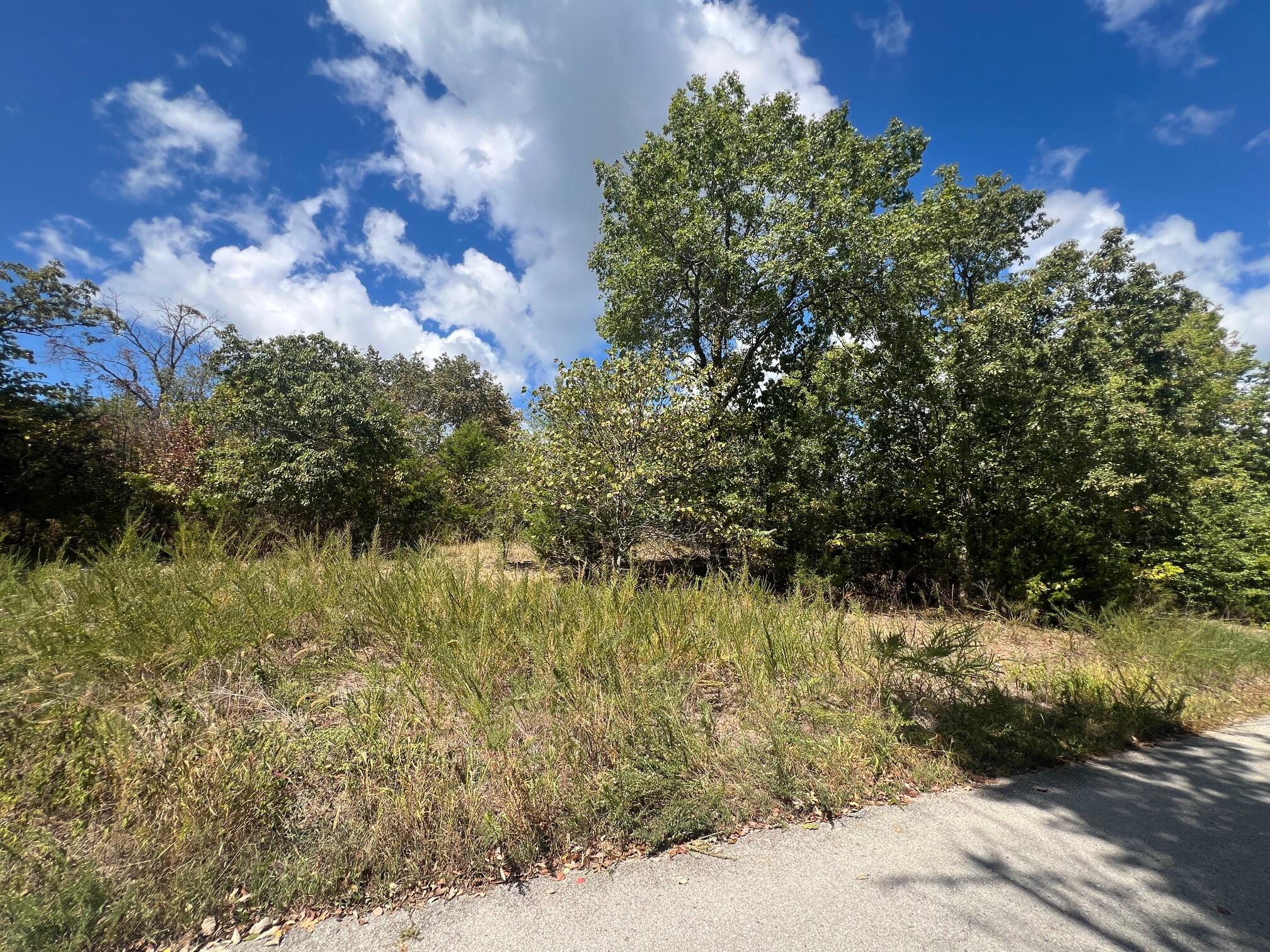Lot 40 Lakewood Road Property Photo