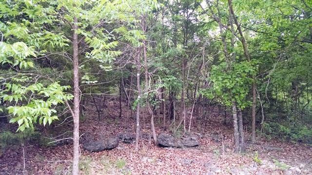 Lot 27 Timberlake Circle Property Photo