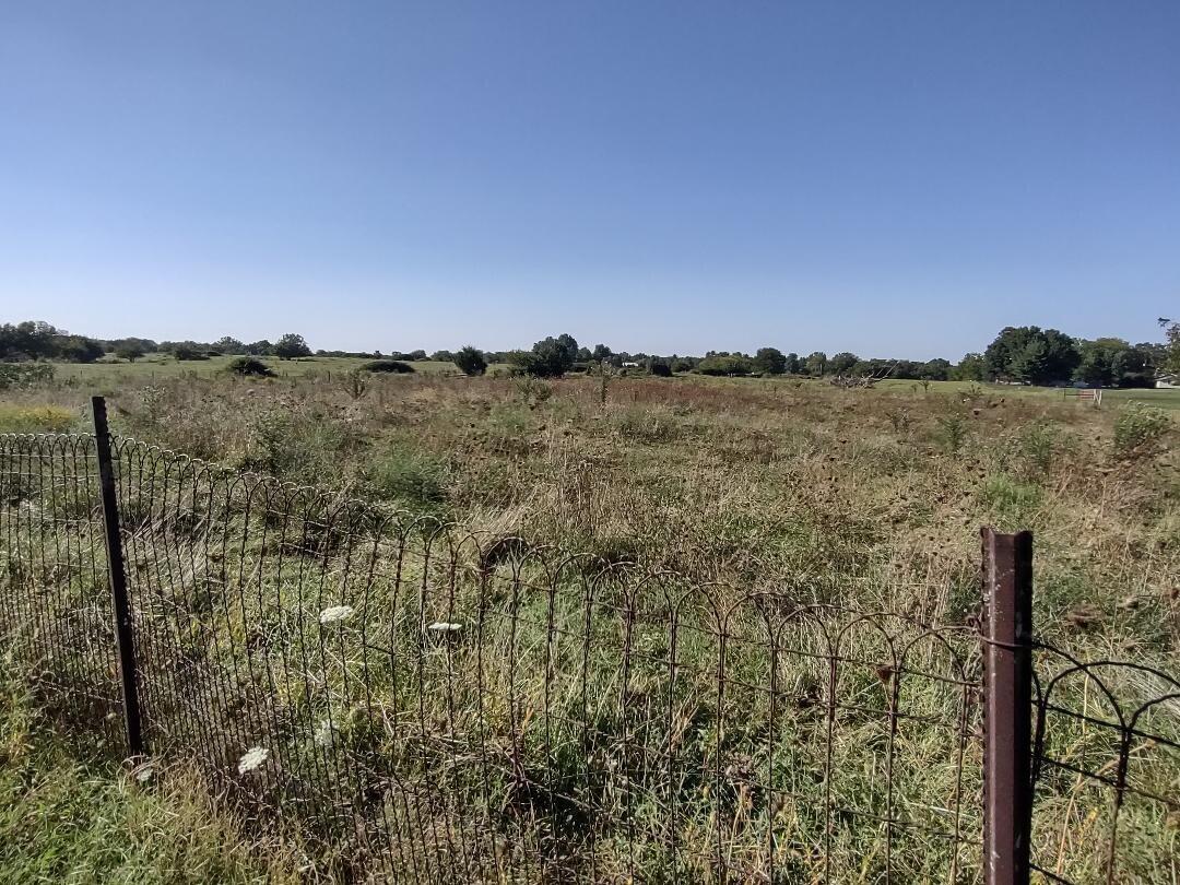 213 North Marshall Street Property Photo 24