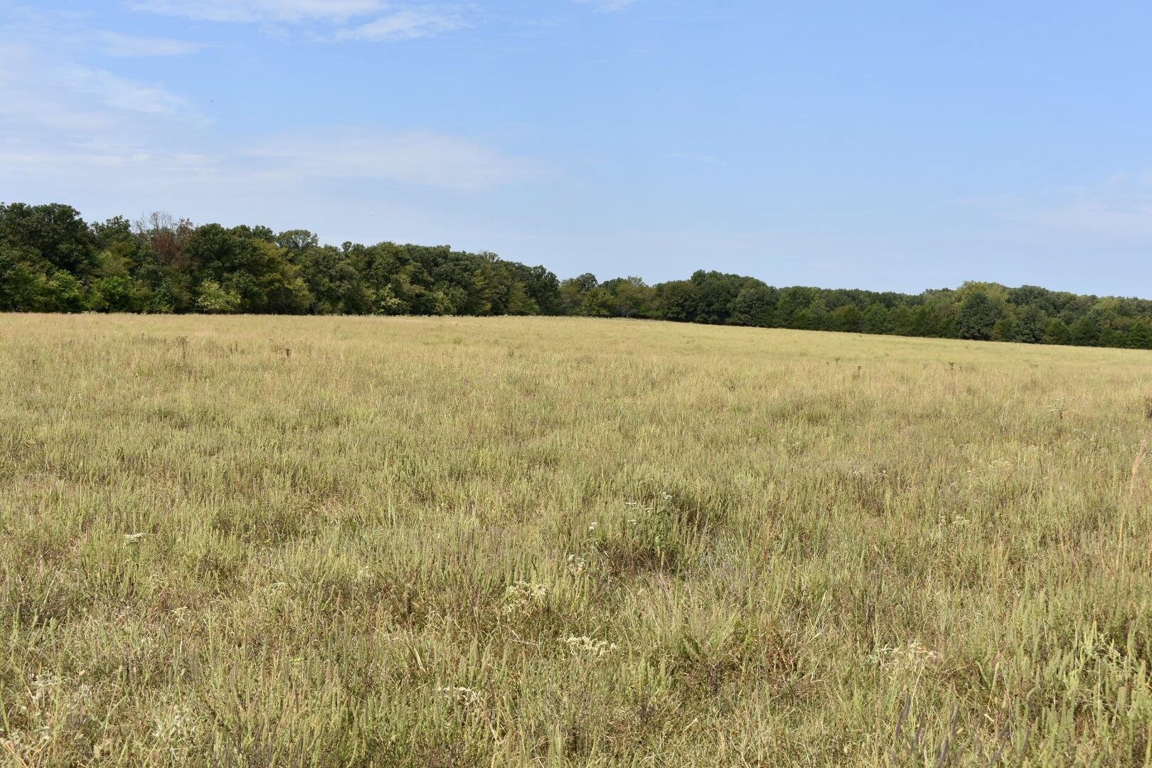 Tbd C Highway Property Photo 7