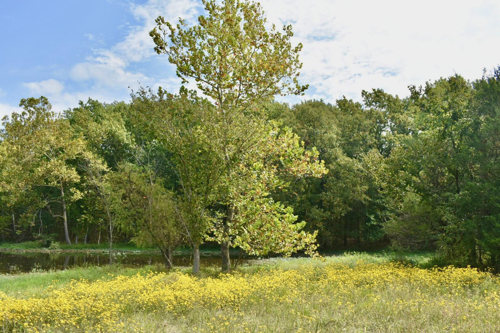 Tbd C Highway Property Photo 12