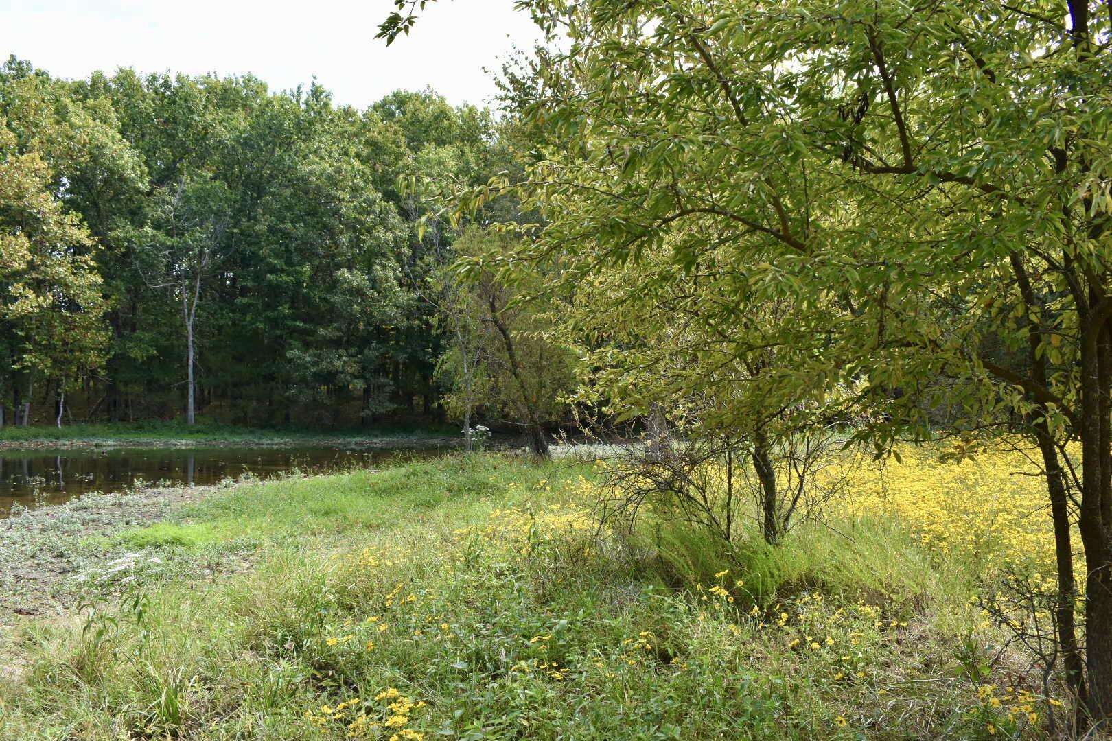 Tbd C Highway Property Photo 13