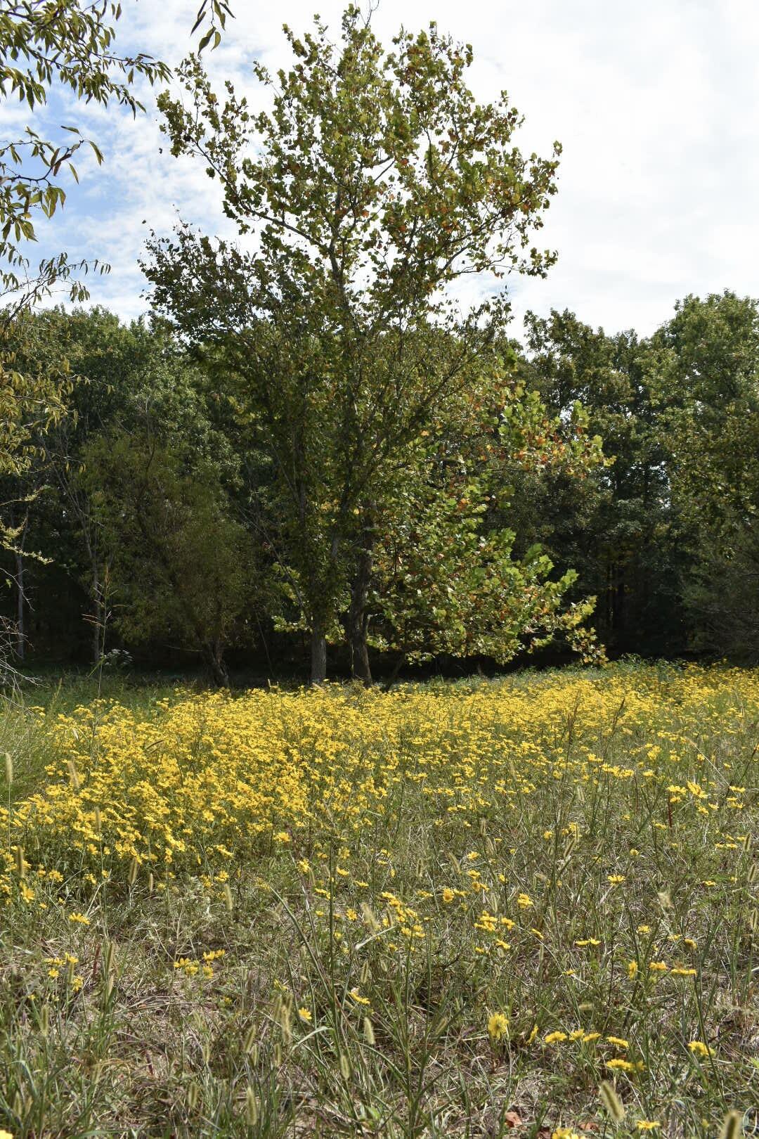 Tbd C Highway Property Photo 14