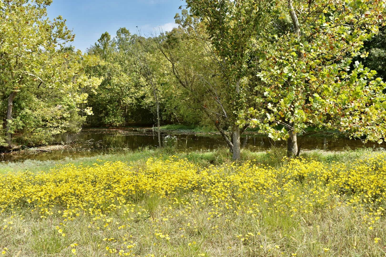 Tbd C Highway Property Photo 15