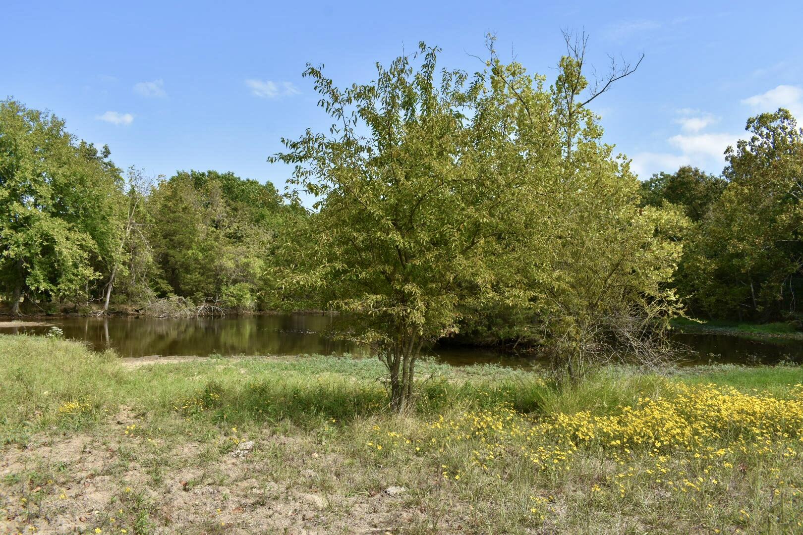 Tbd C Highway Property Photo 16