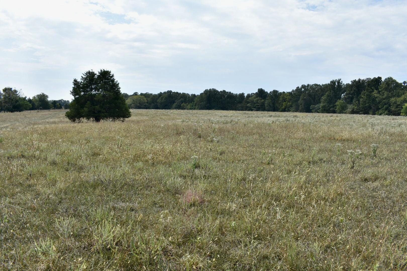 Tbd C Highway Property Photo 17