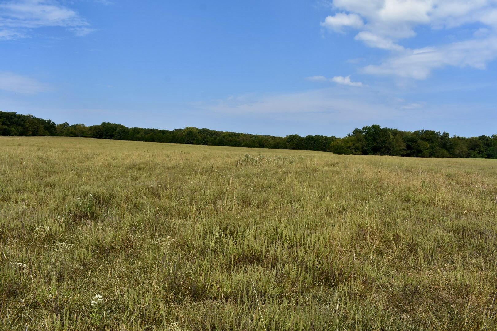 Tbd C Highway Property Photo 19
