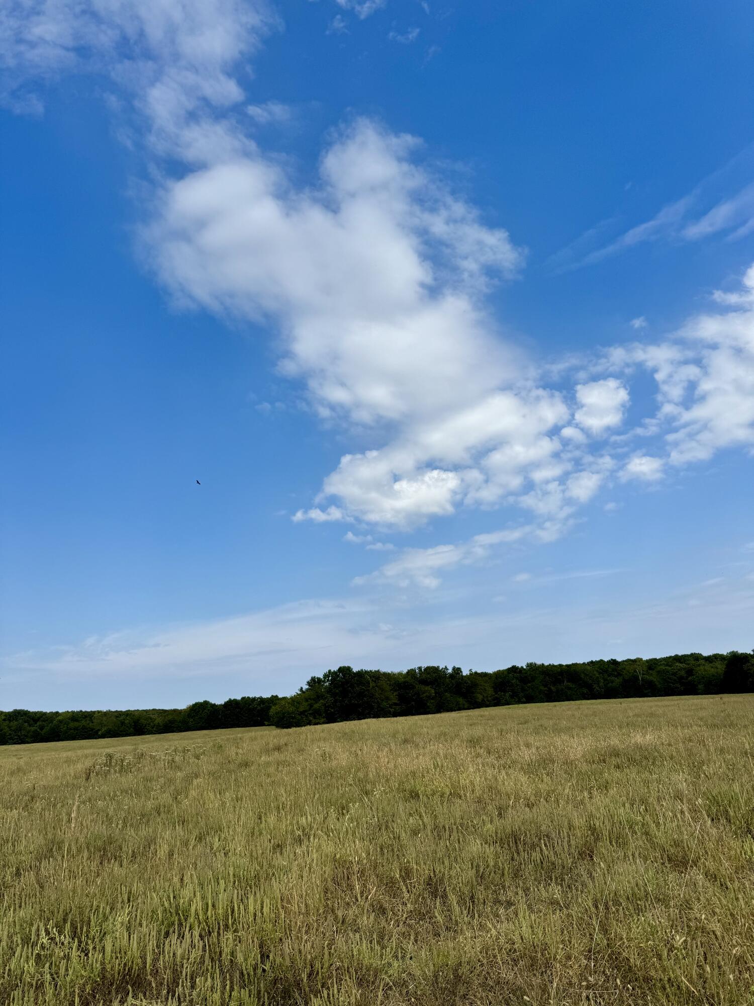 Tbd C Highway Property Photo 20