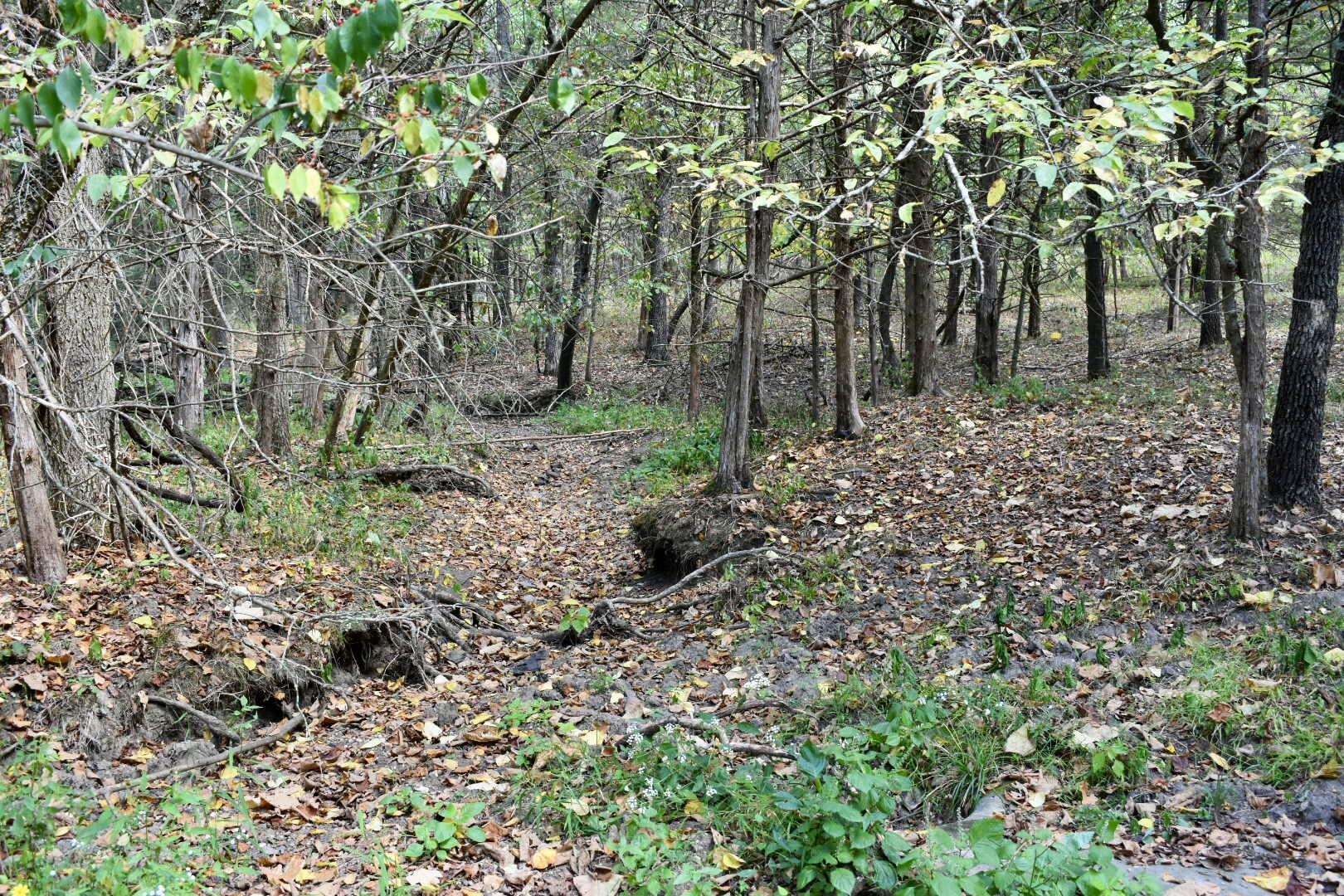 Tbd C Highway Property Photo 22