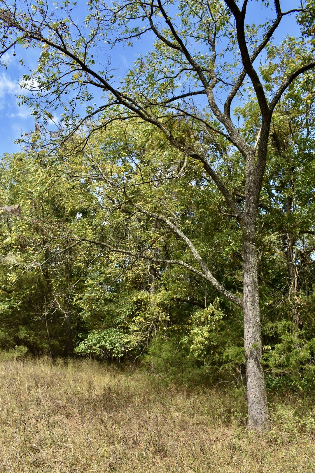 Tbd C Highway Property Photo 25