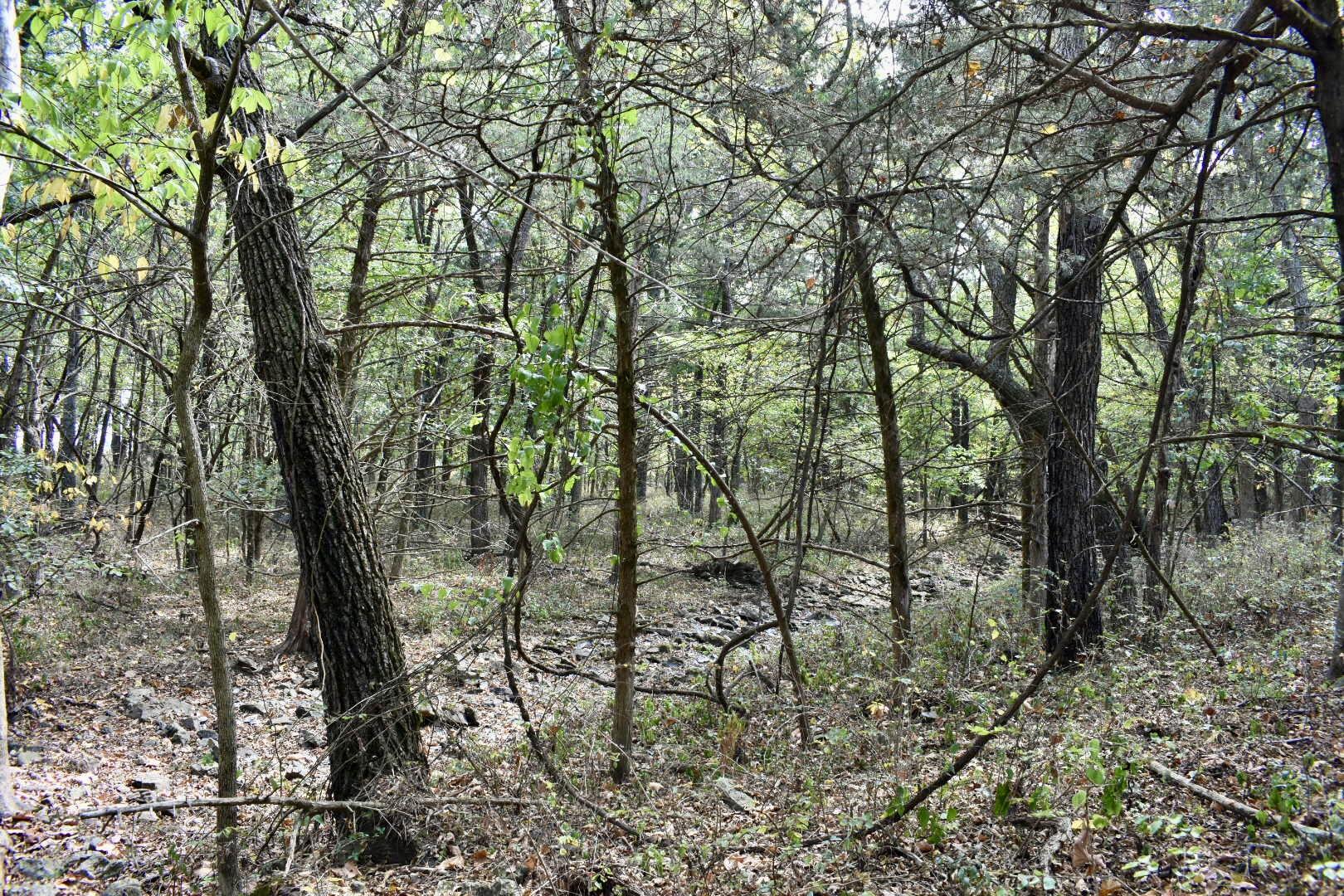 Tbd C Highway Property Photo 26