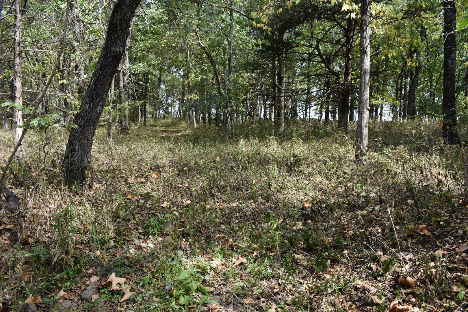 Tbd C Highway Property Photo 30