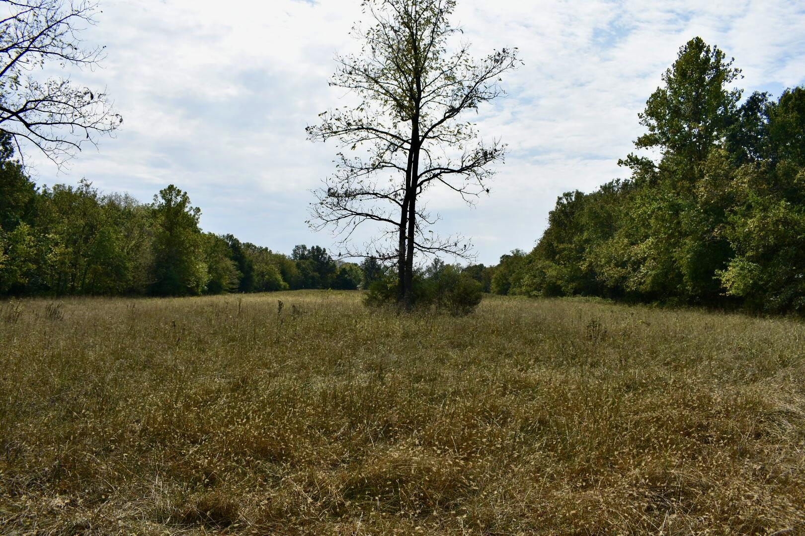 Tbd C Highway Property Photo 31