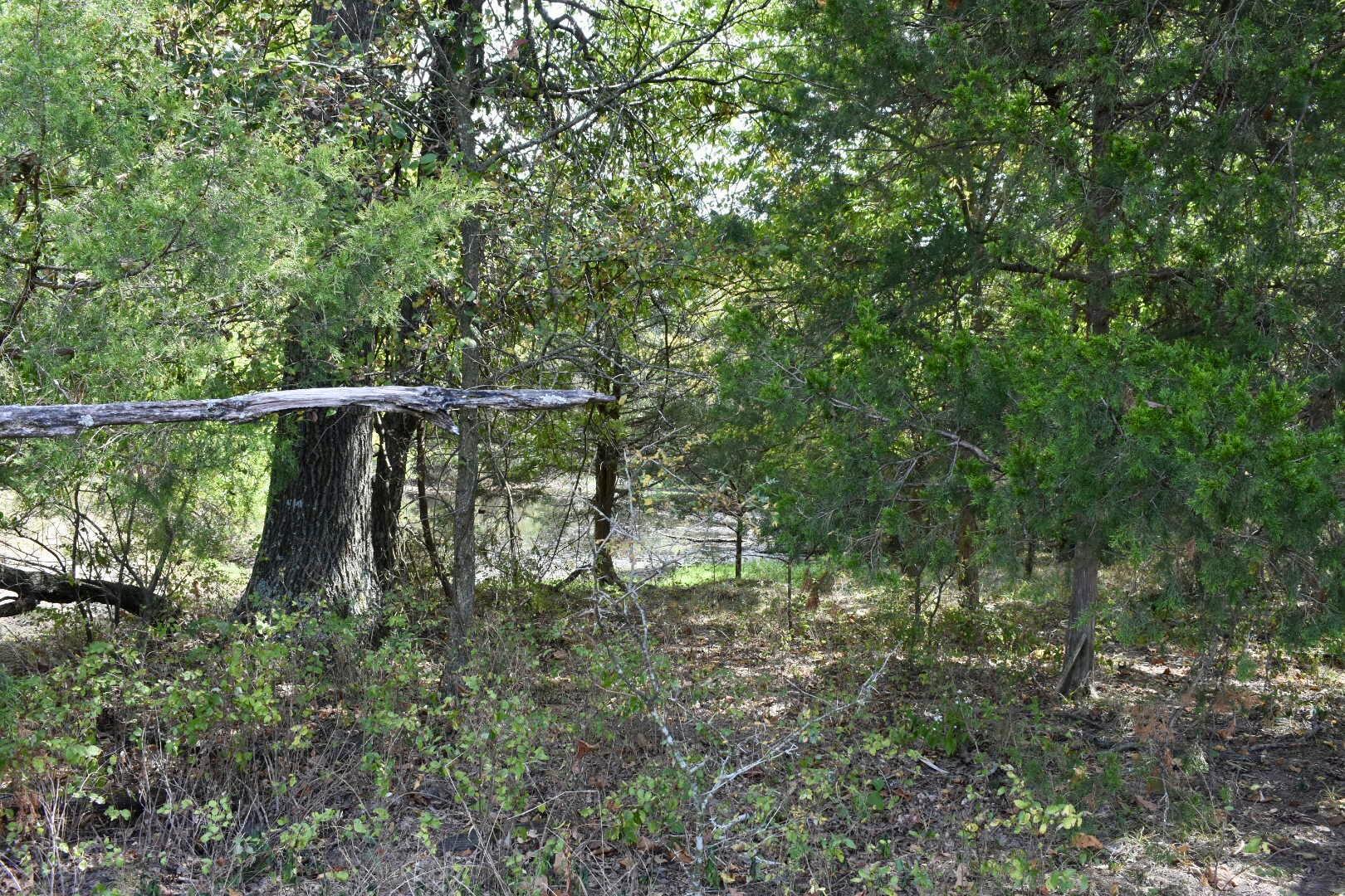 Tbd C Highway Property Photo 32