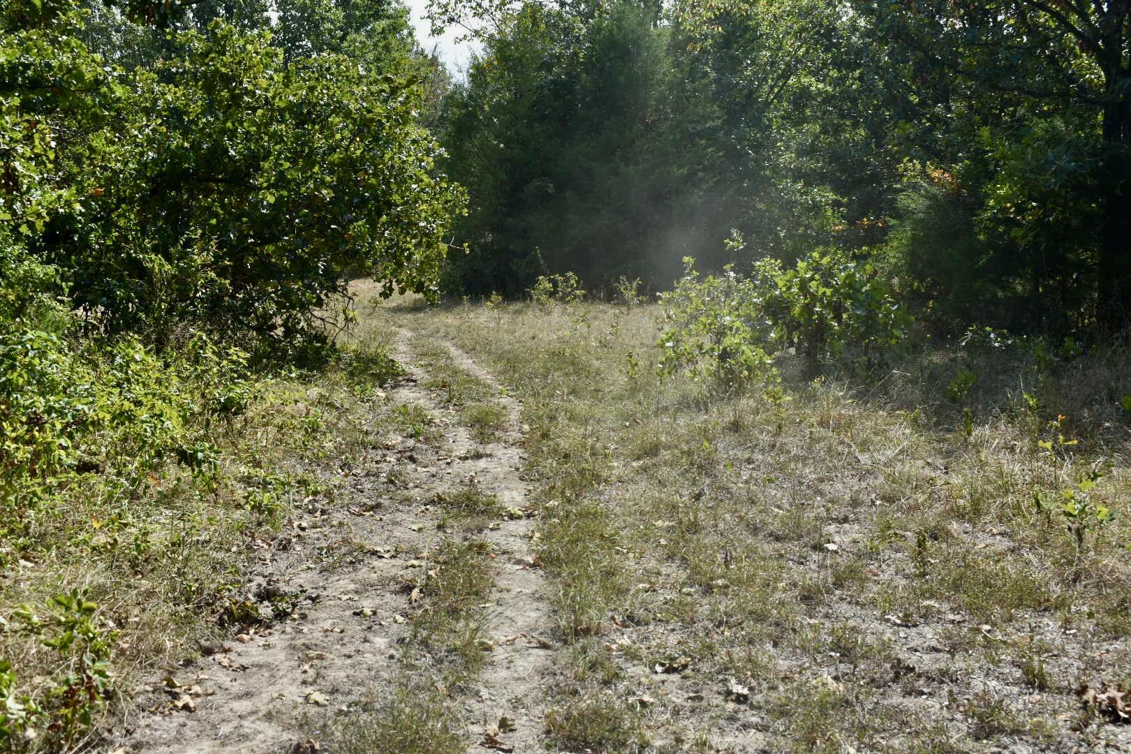 Tbd C Highway Property Photo 36