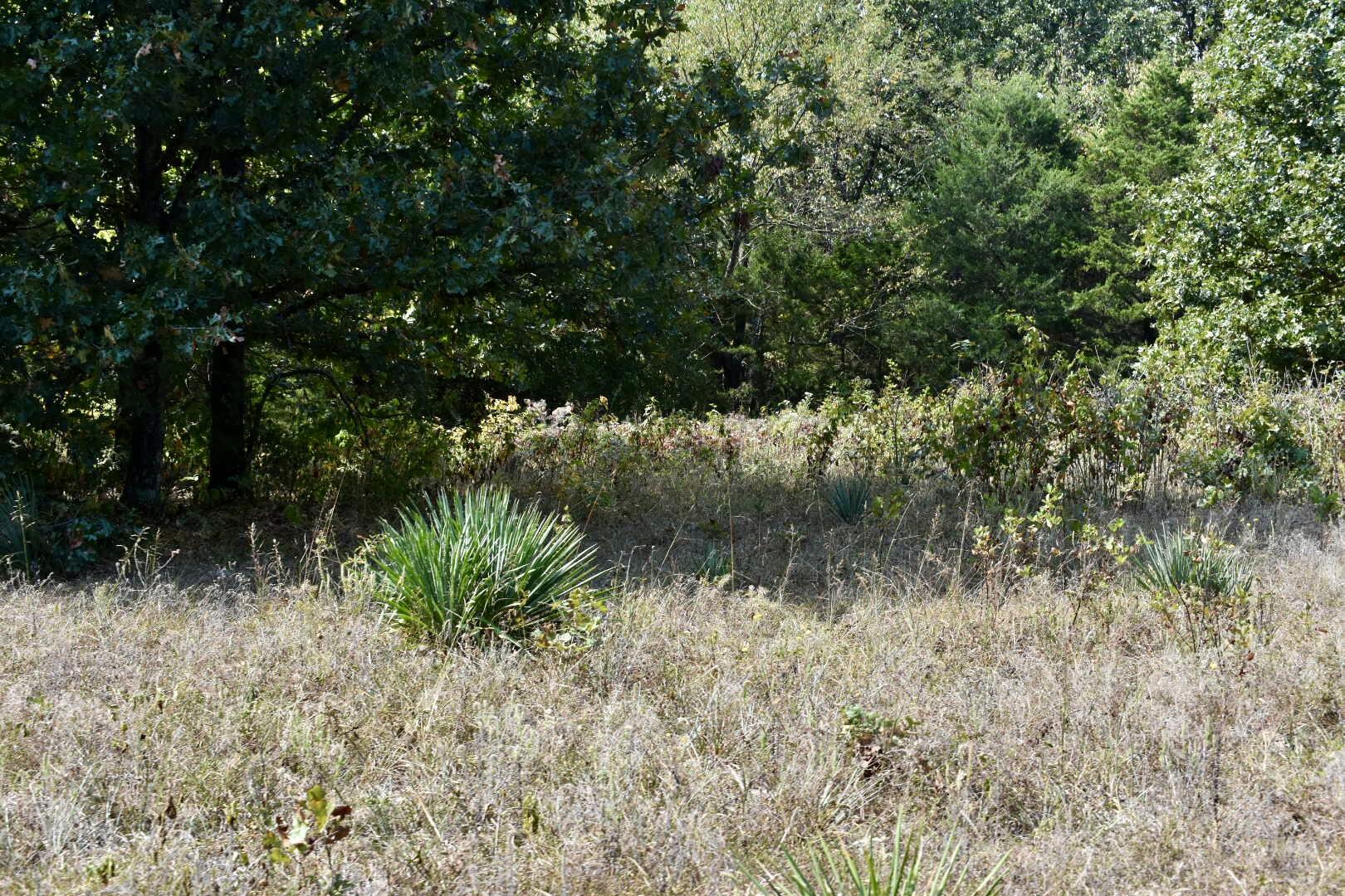 Tbd C Highway Property Photo 37