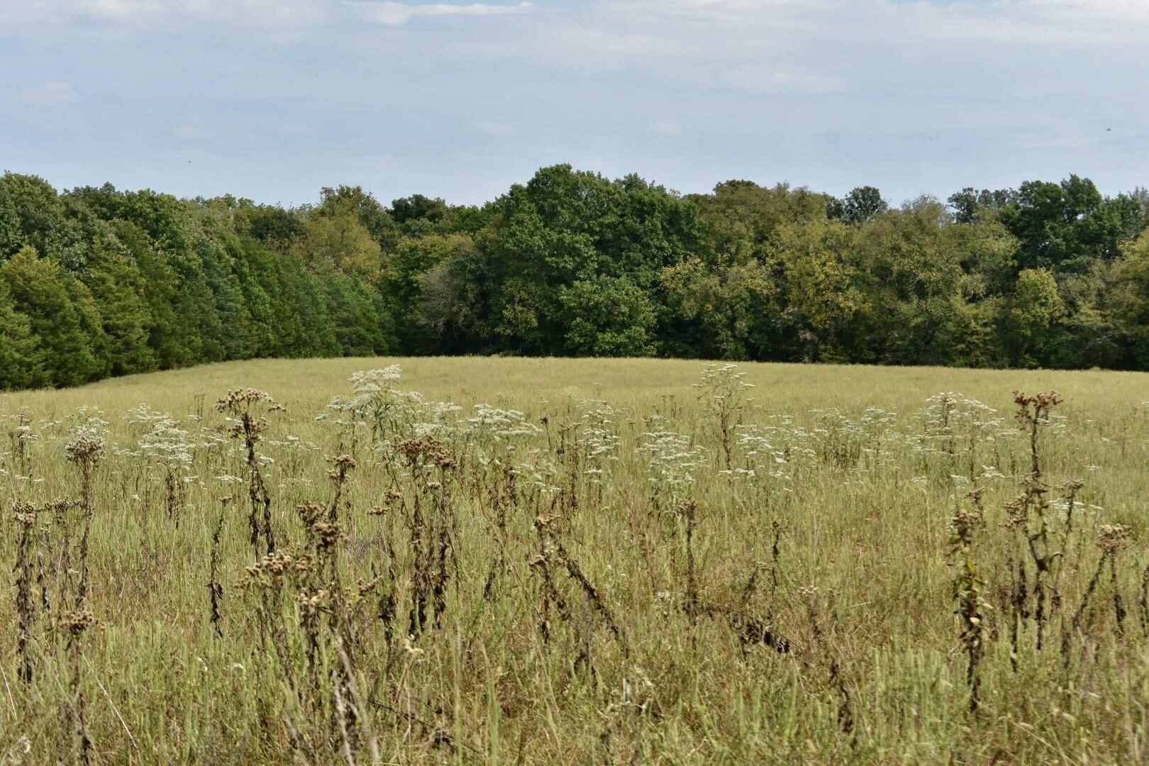 Tbd C Highway Property Photo 38