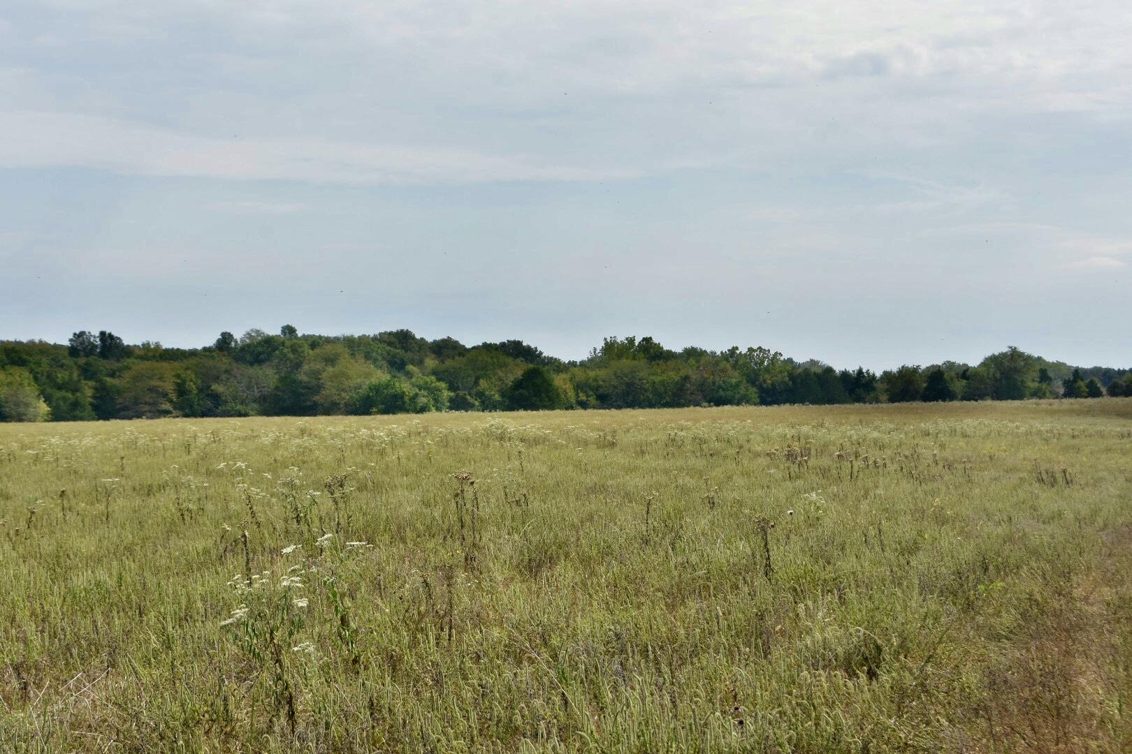 Tbd C Highway Property Photo 39