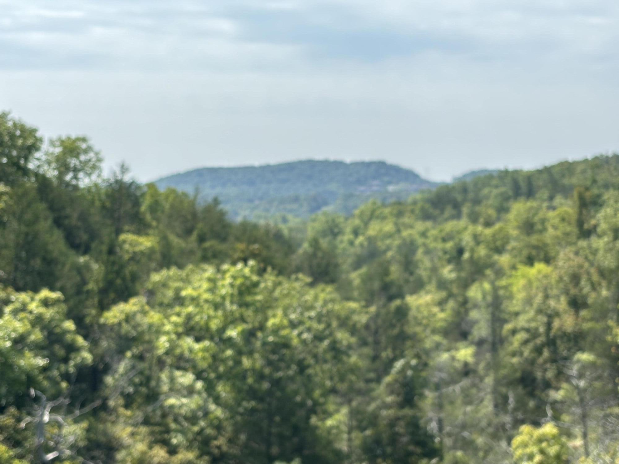 Lot #3 Fox Hollow Road Property Photo 3