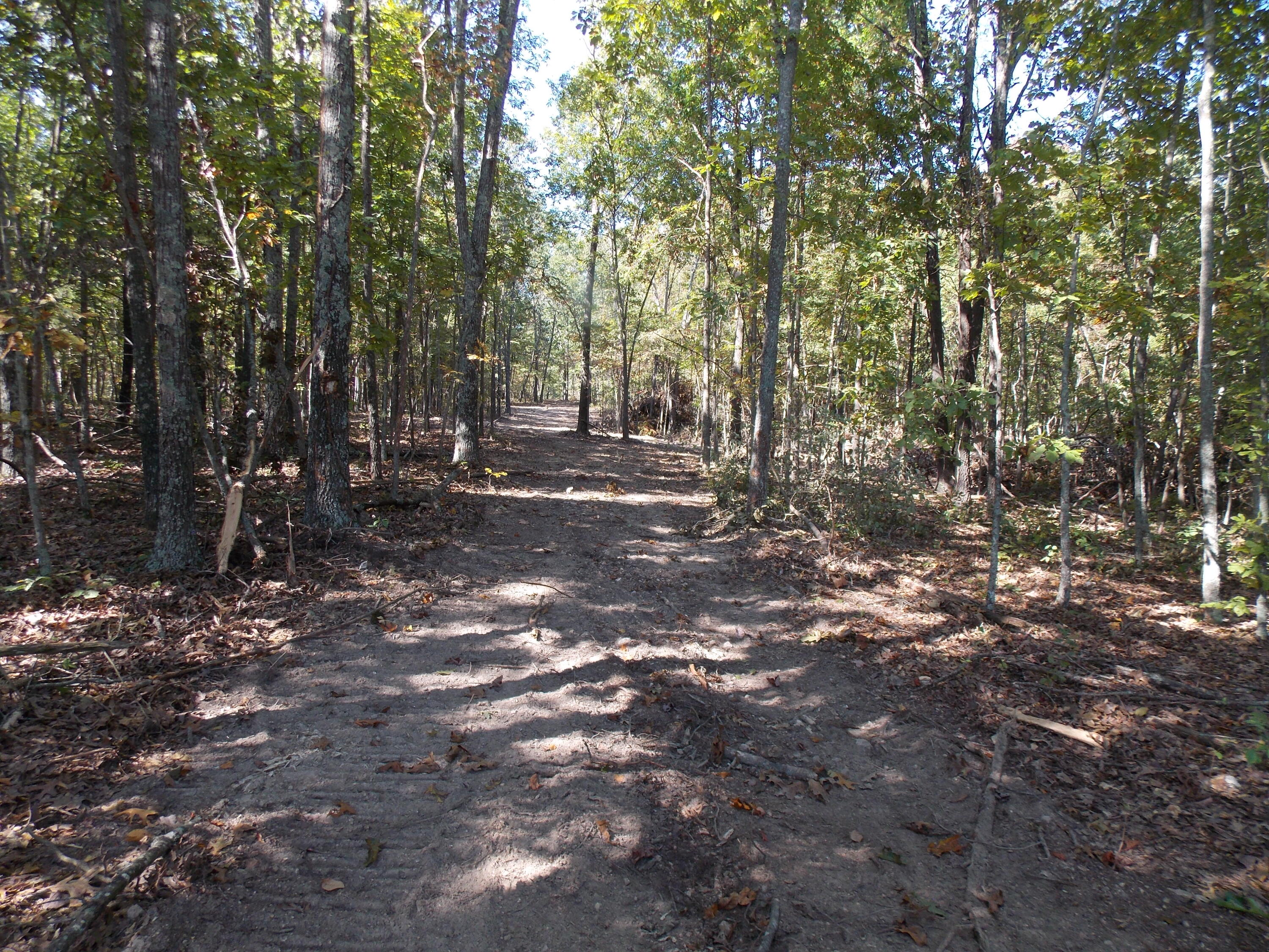 12879 Hwy O Property Photo 1