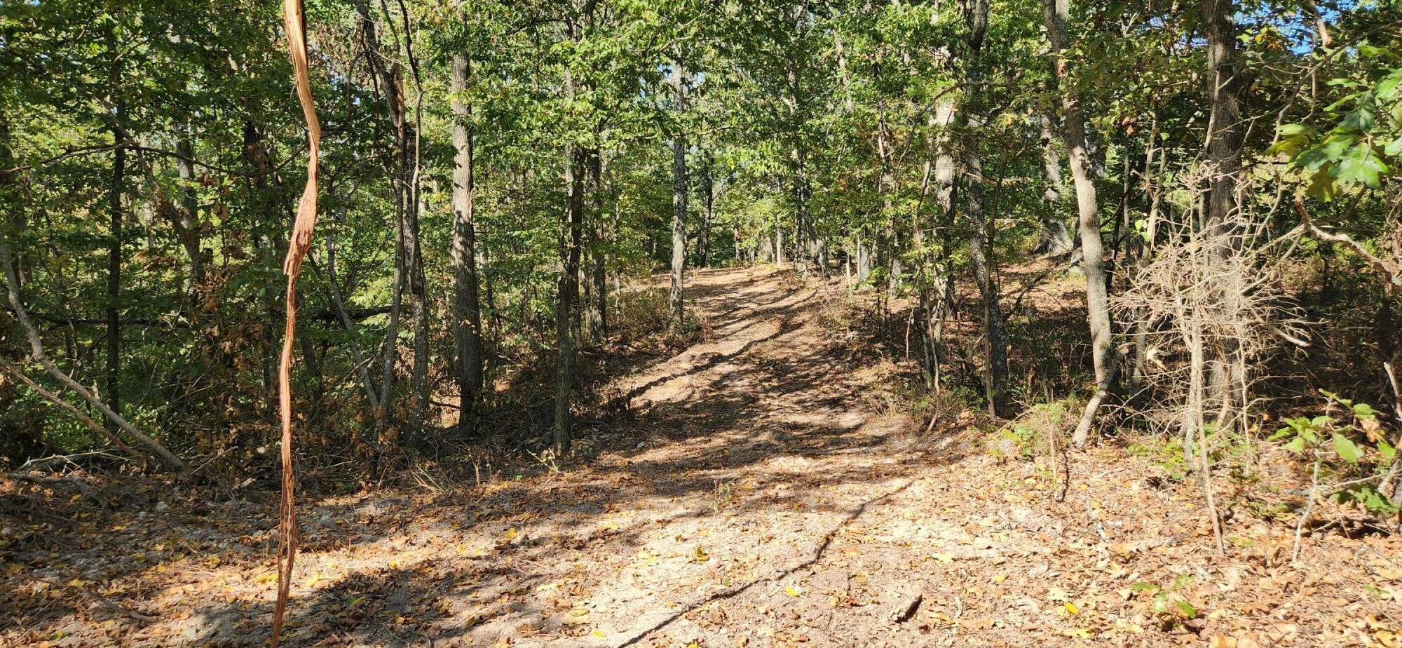 12879 Hwy O Property Photo 2