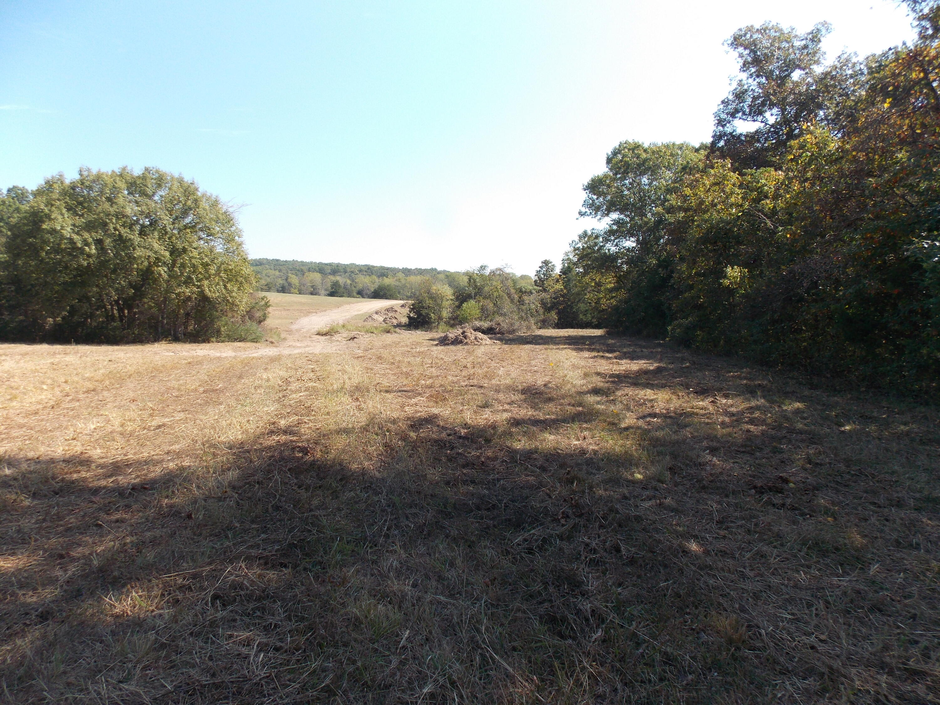 12879 Hwy O Property Photo 4