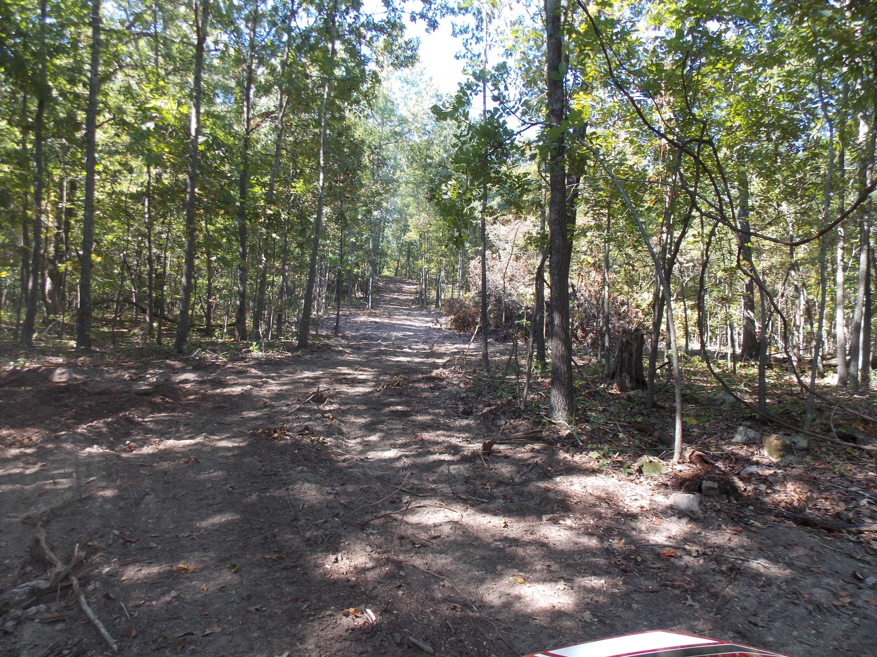 12879 Hwy O Property Photo 5