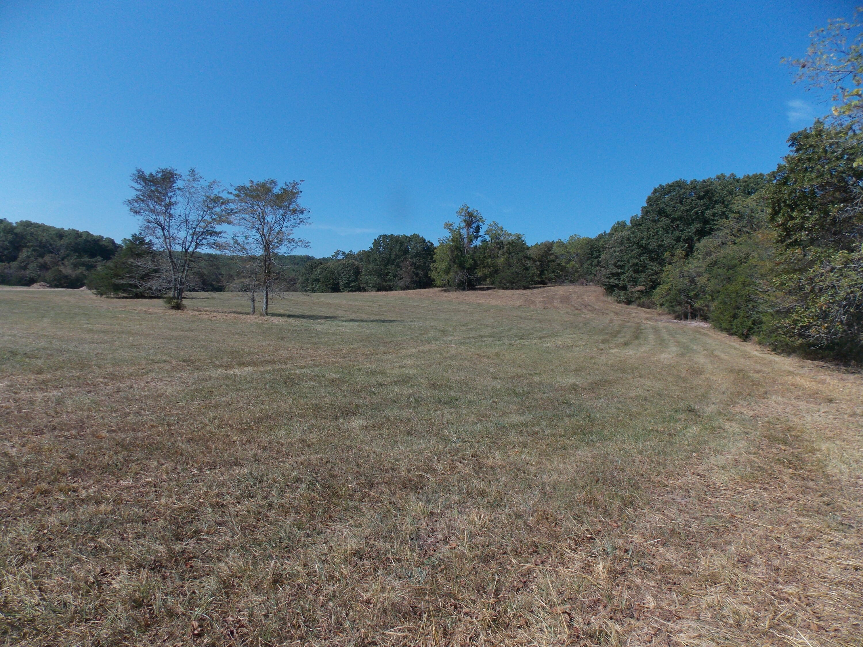 12879 Hwy O Property Photo 8