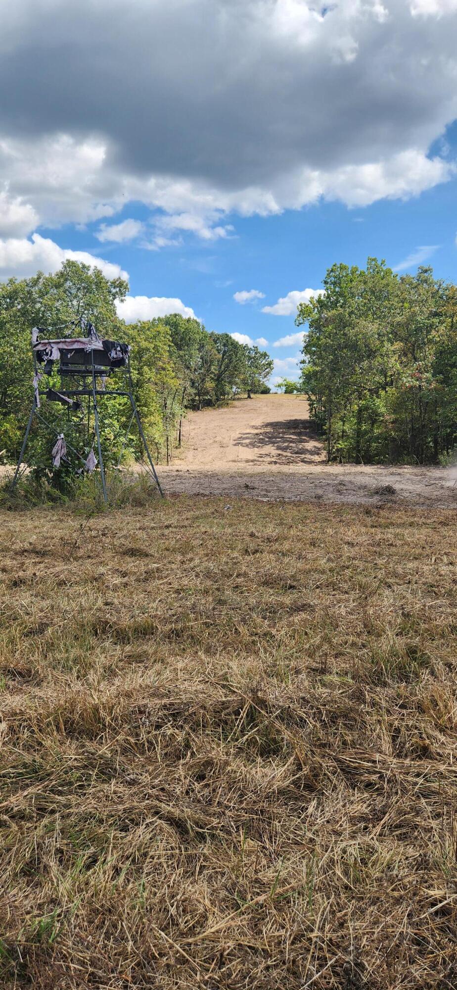 12879 Hwy O Property Photo 12