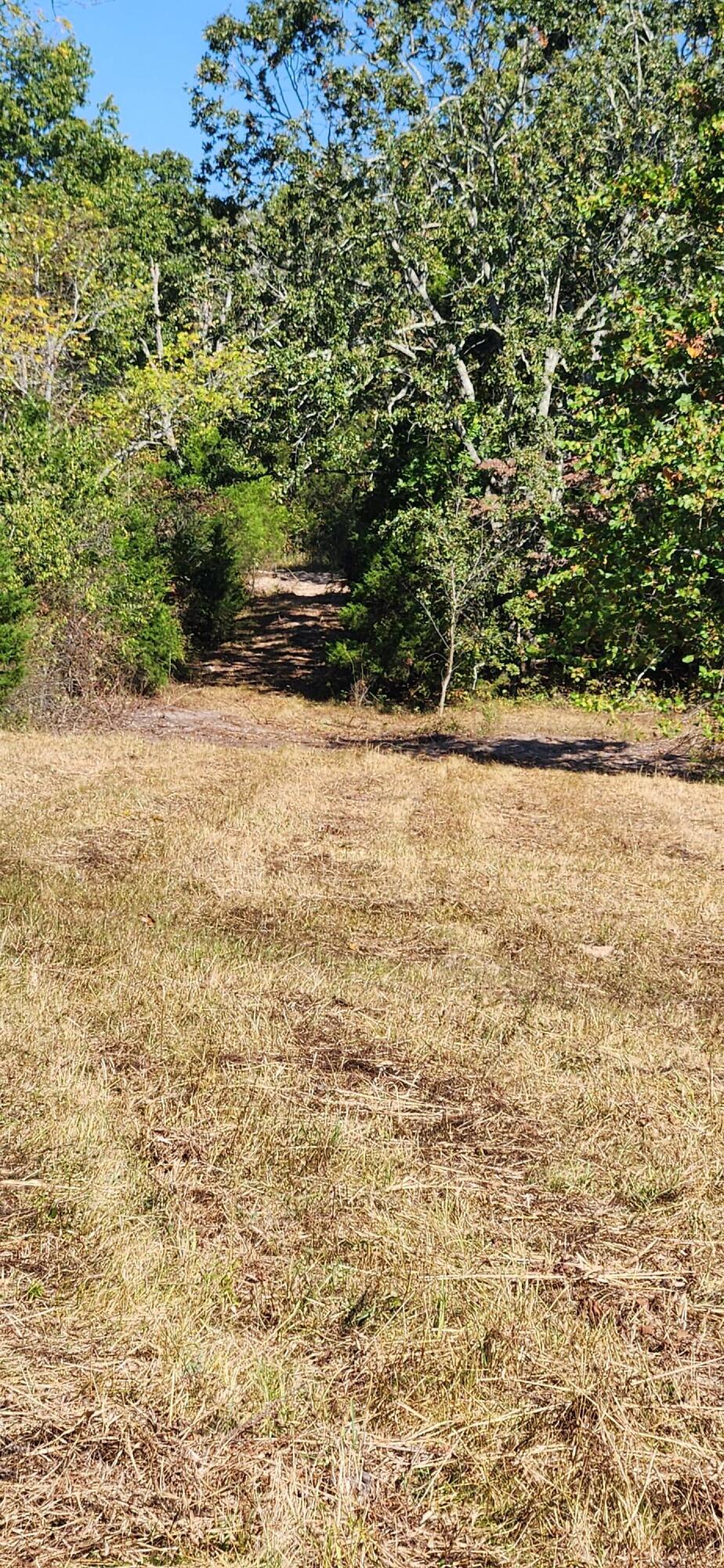 12879 Hwy O Property Photo 20