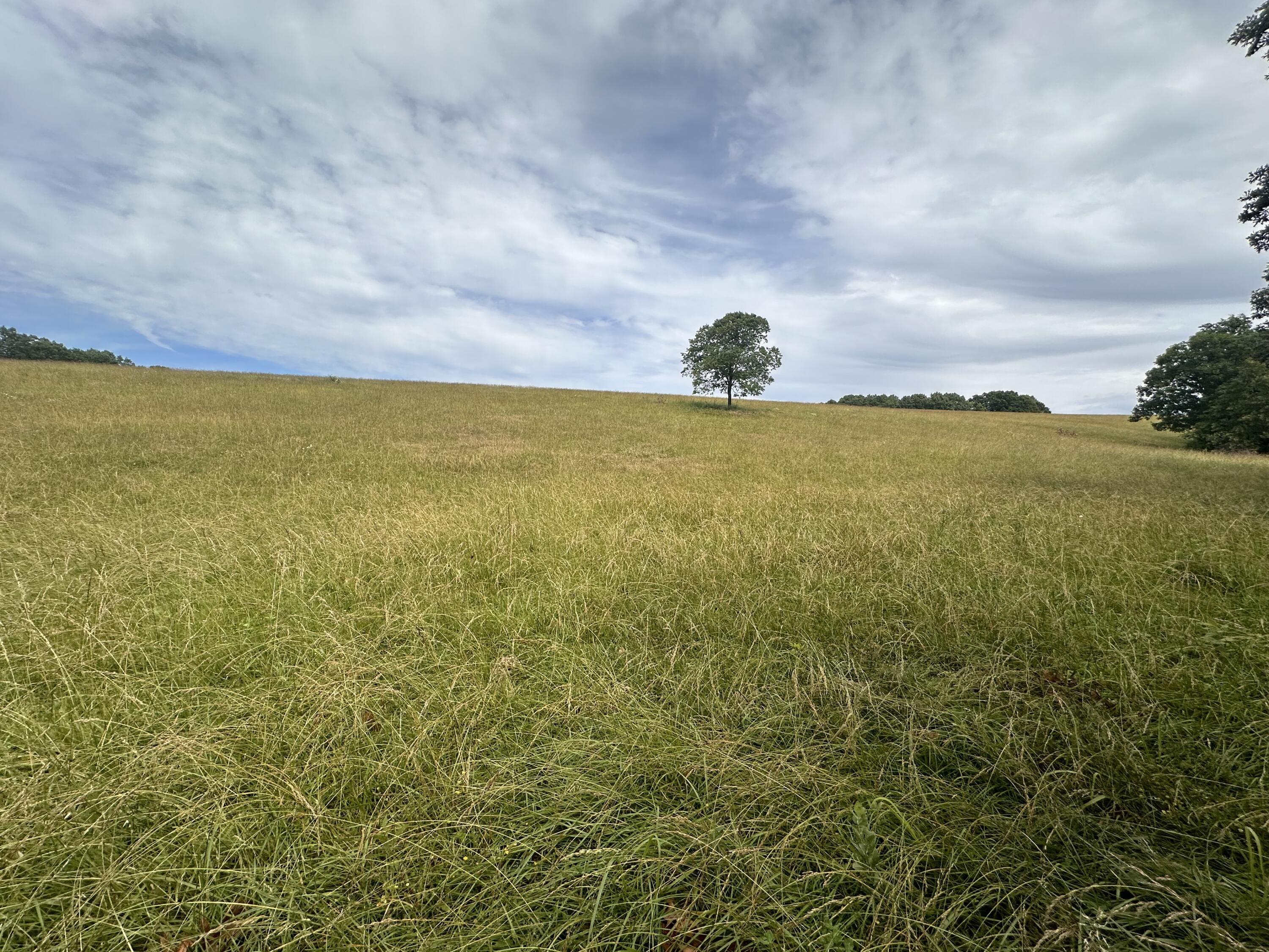 Tbd Highway 95 Property Photo 4
