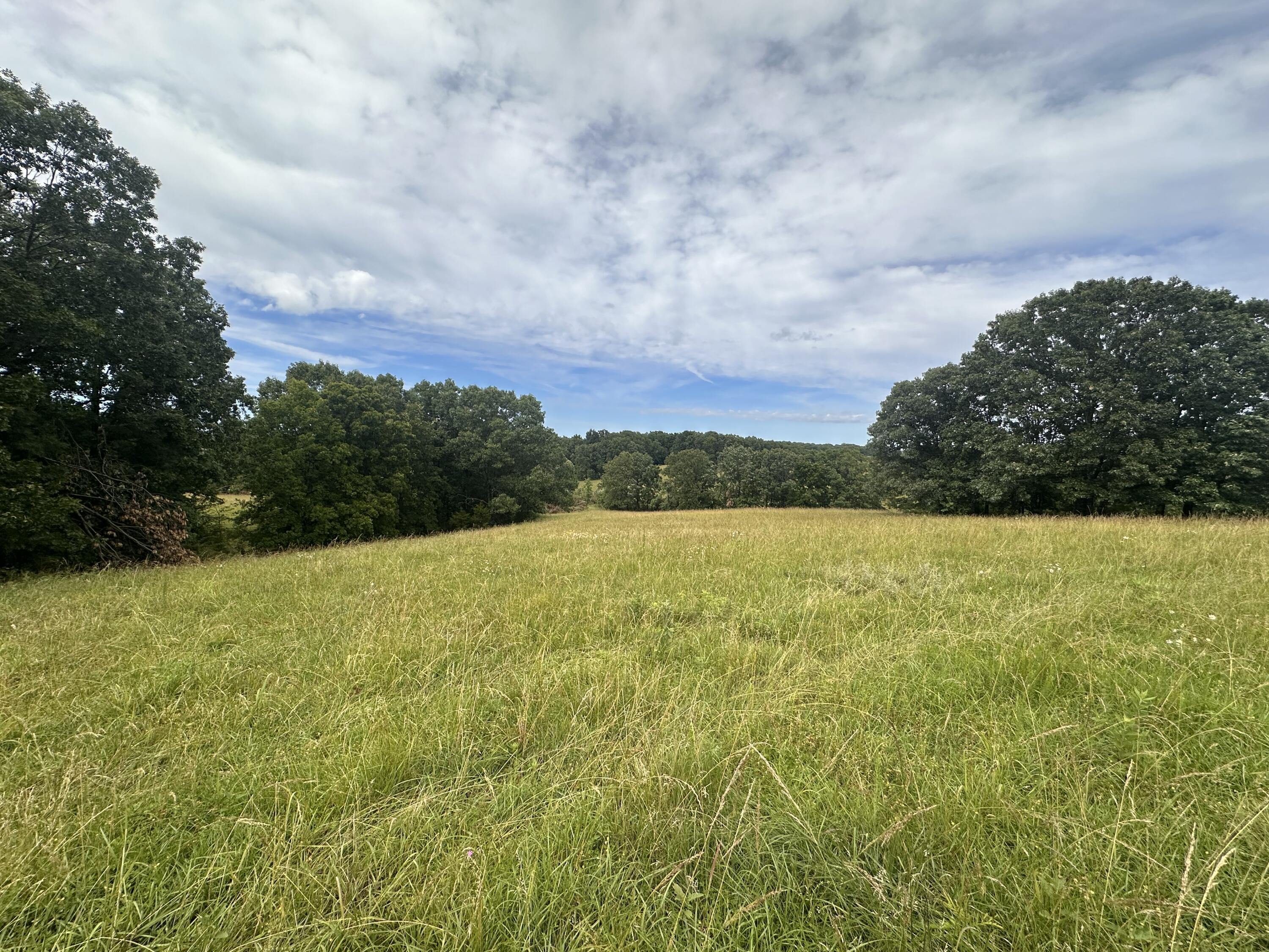 Tbd Highway 95 Property Photo 7