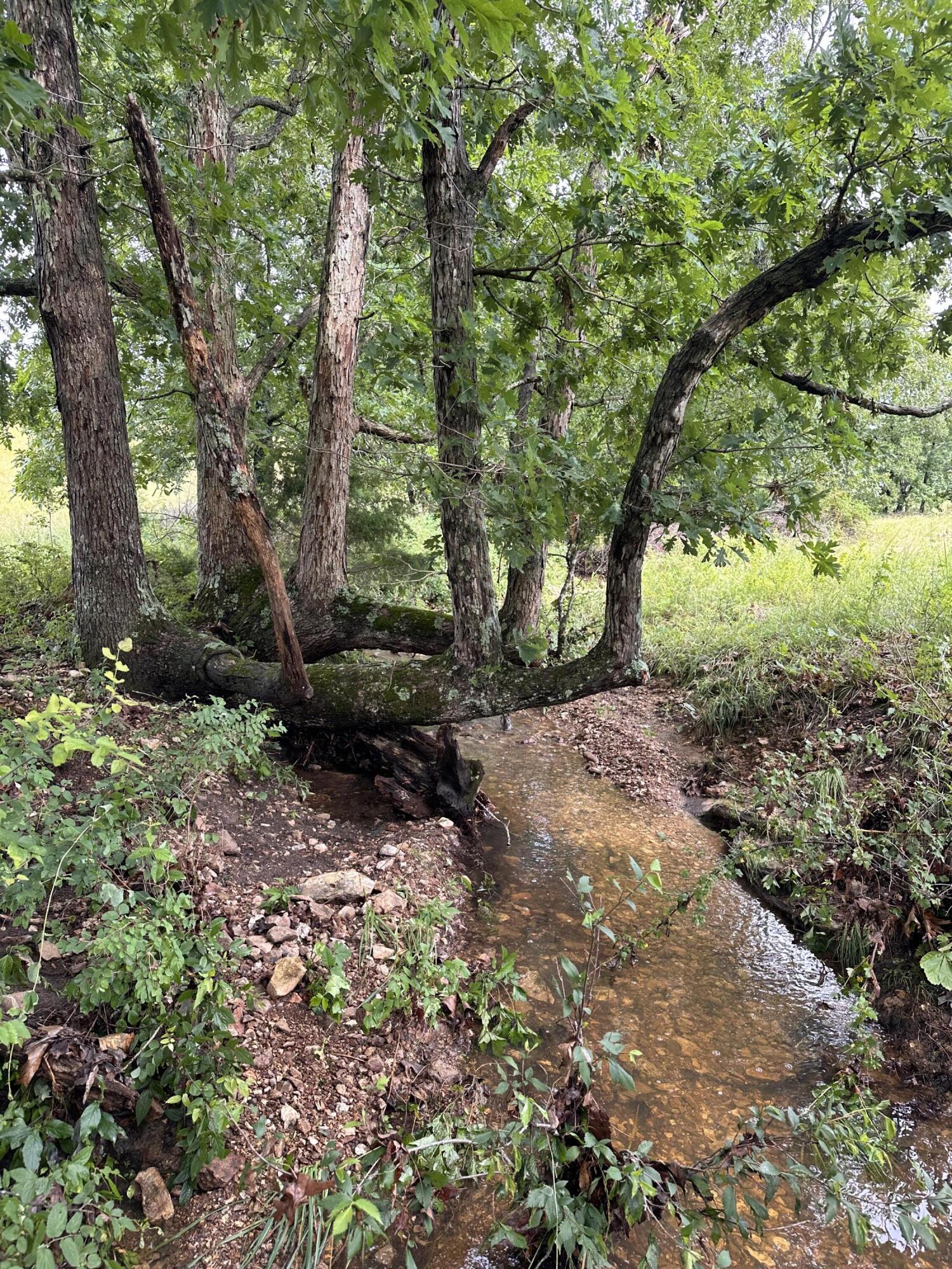 Tbd Highway 95 Property Photo 9