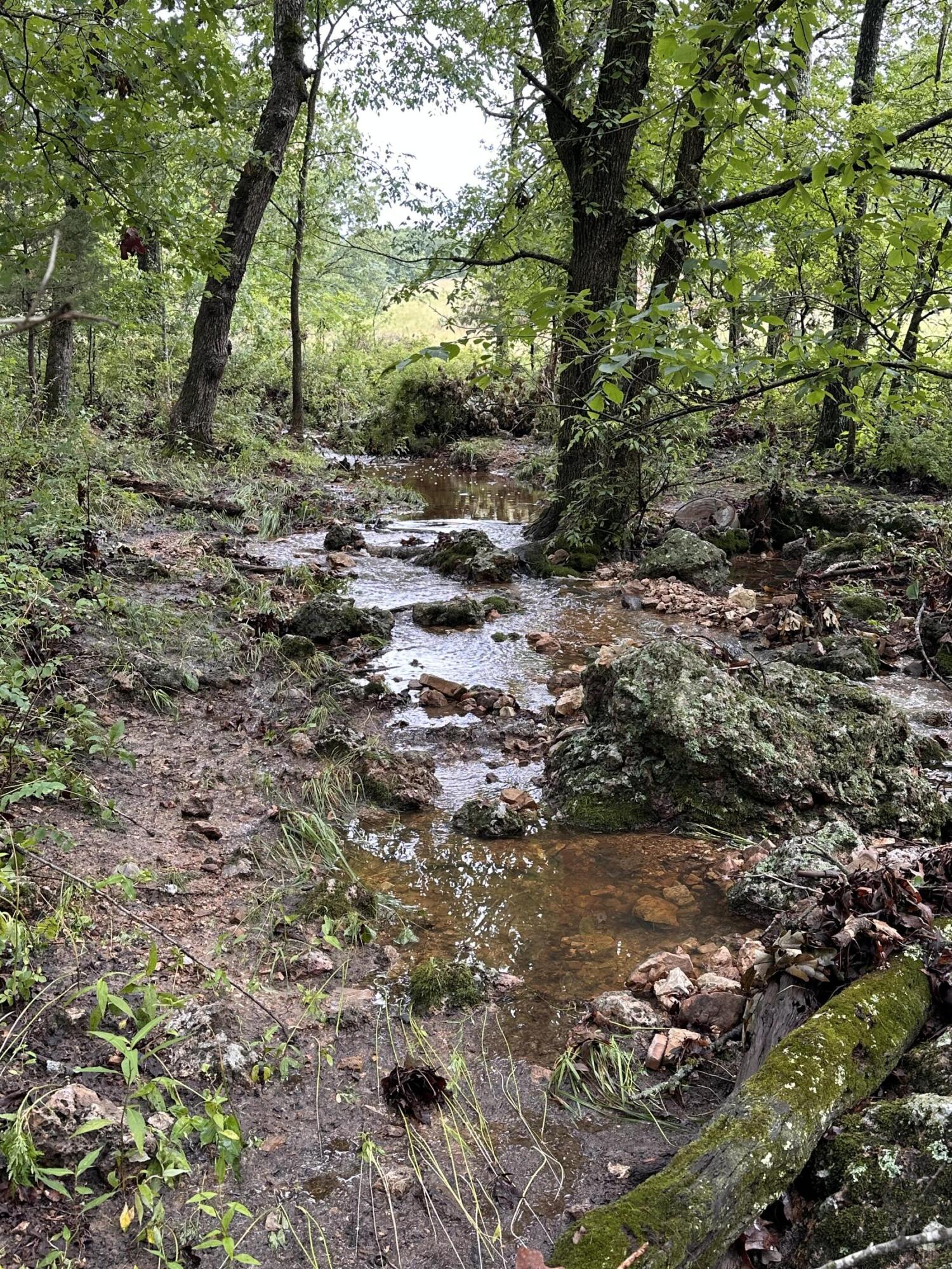 Tbd Highway 95 Property Photo 10