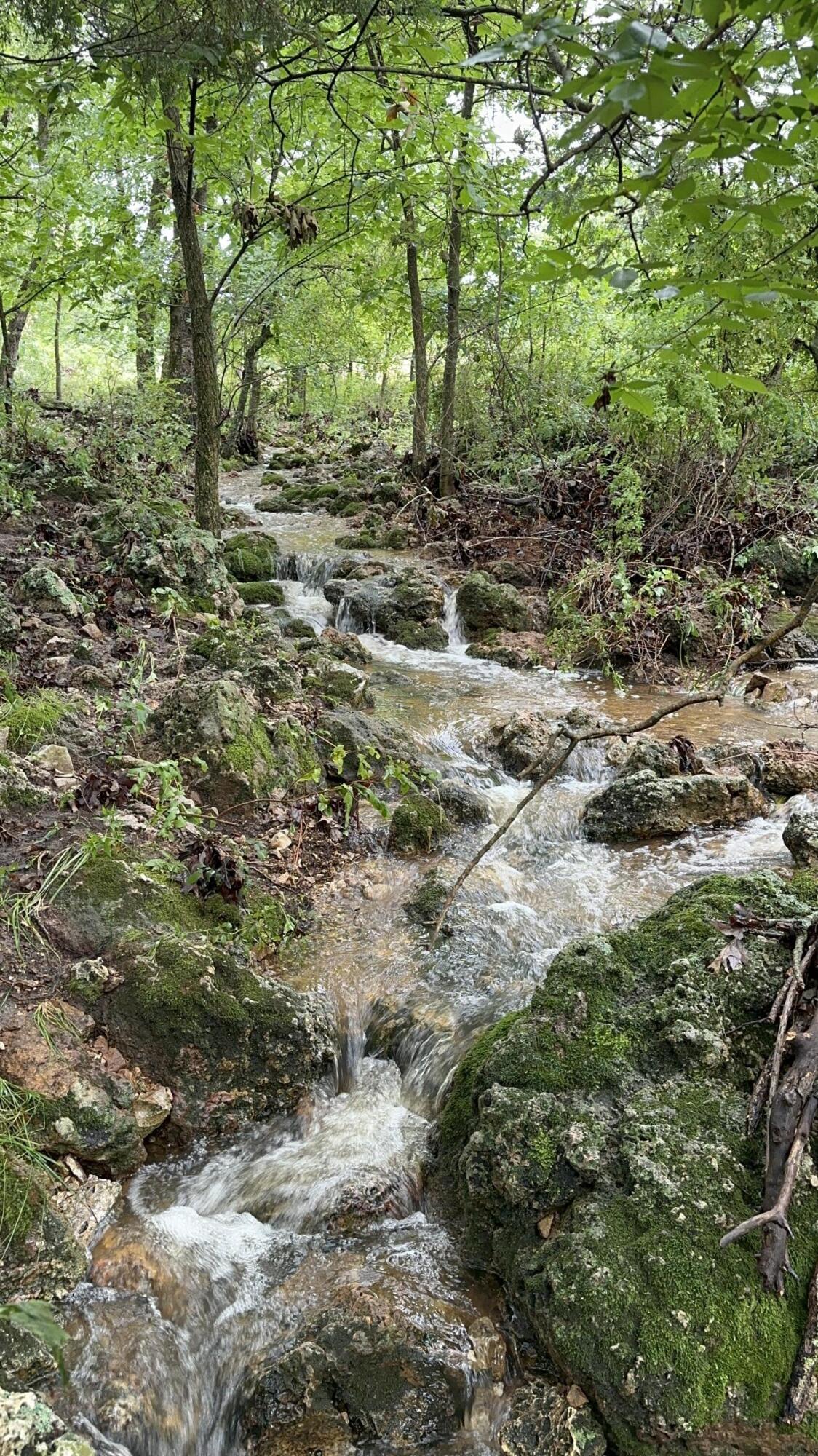 Tbd Highway 95 Property Photo 12