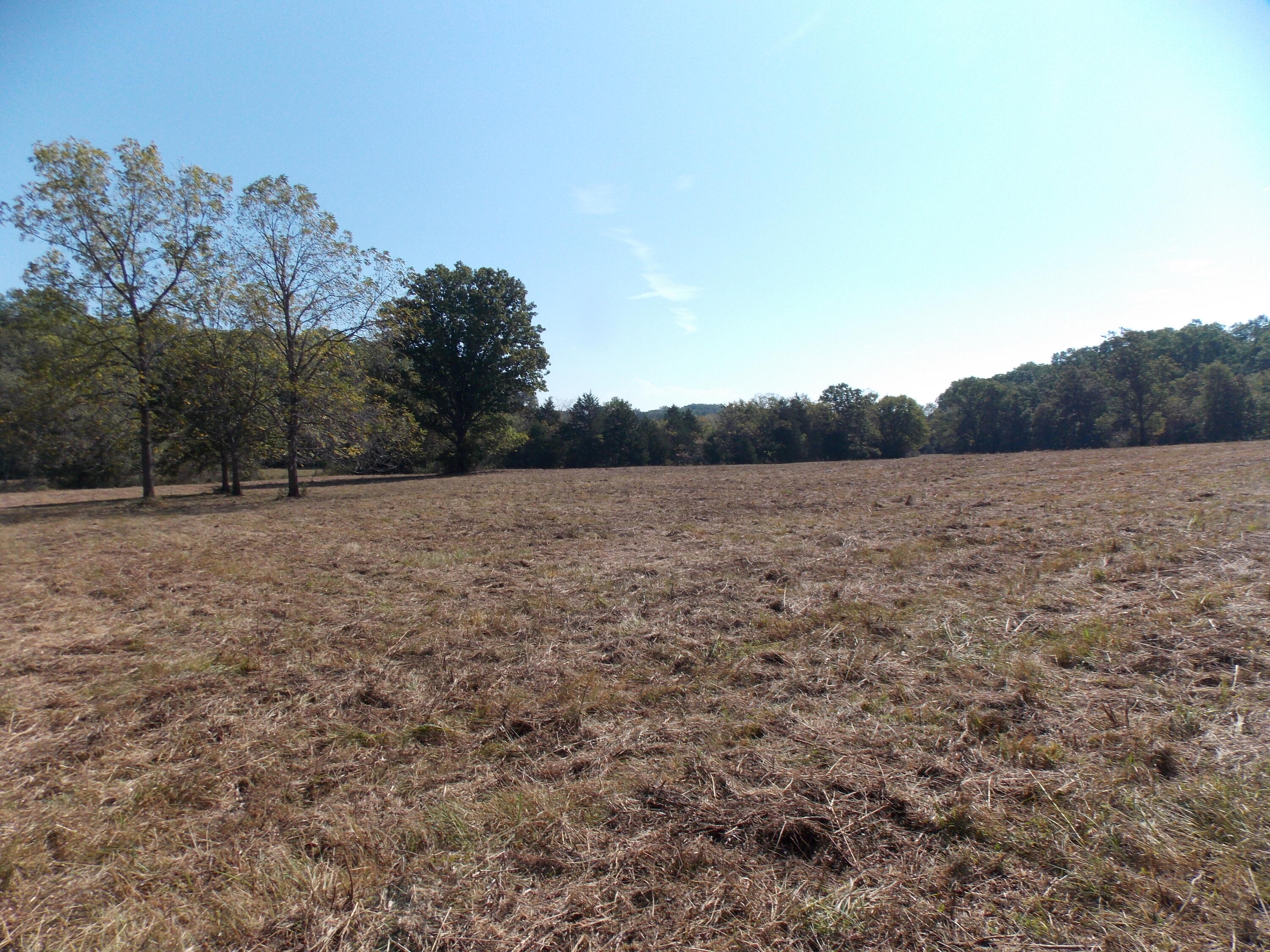 000 Hwy O Property Photo 6