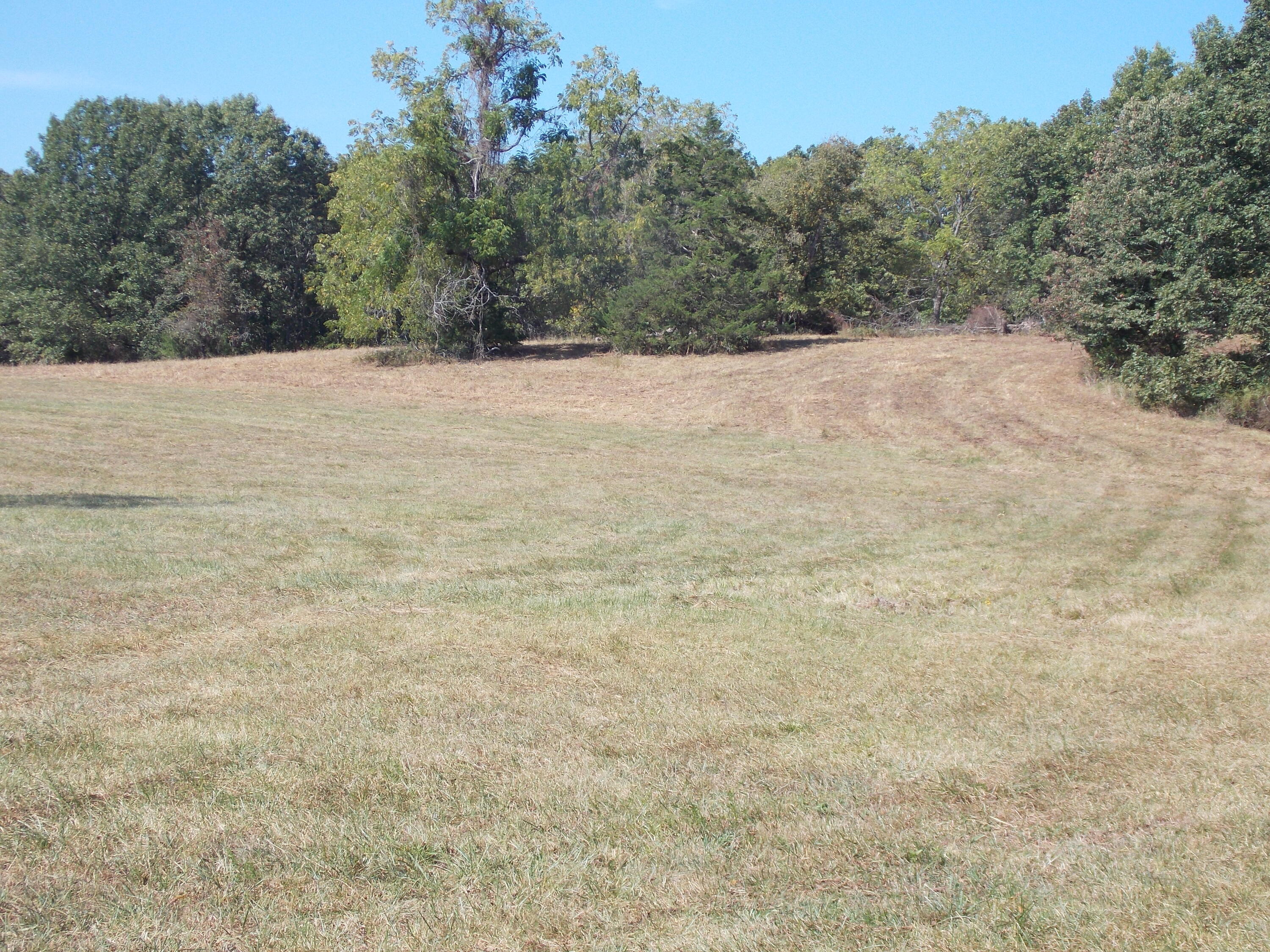 000 Hwy O Property Photo 10
