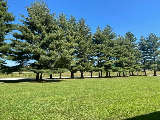 8360 Pridemore Road Property Photo 4