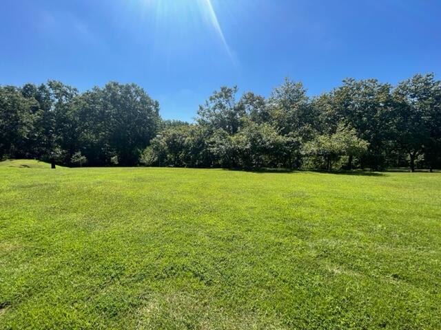 8360 Pridemore Road Property Photo 42