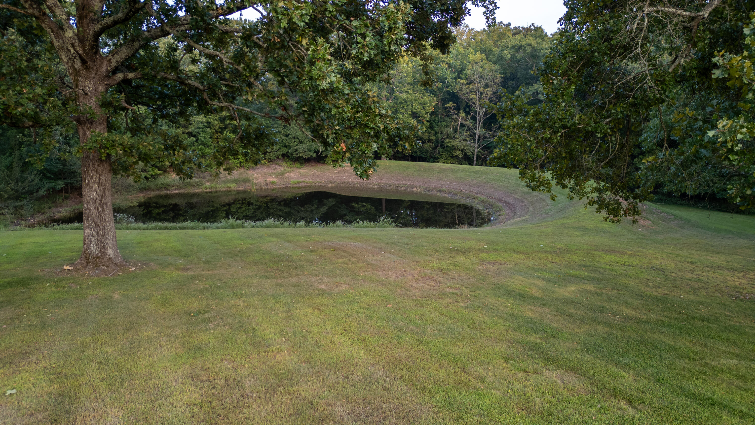 8360 Pridemore Road Property Photo 44