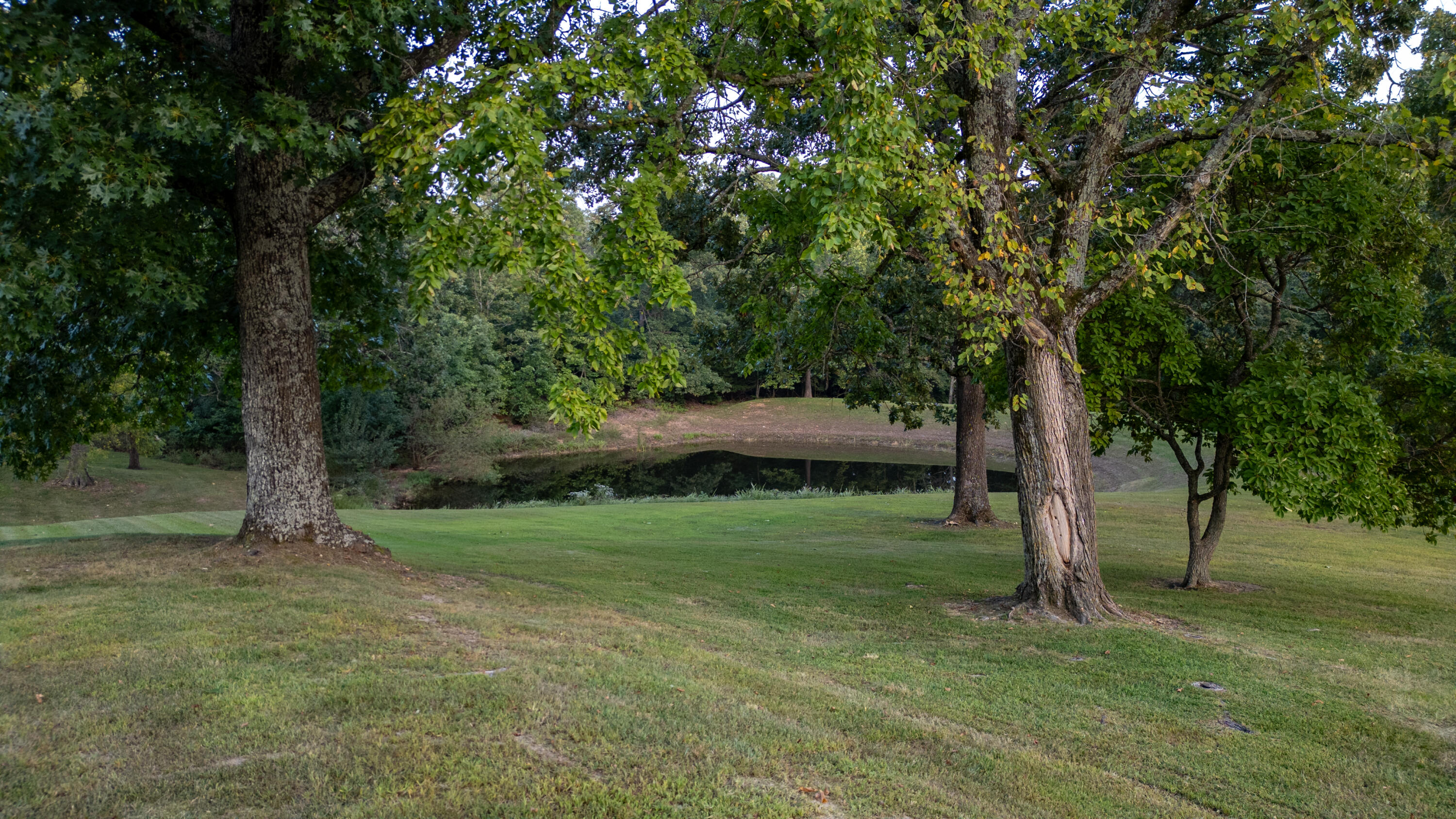 8360 Pridemore Road Property Photo 45