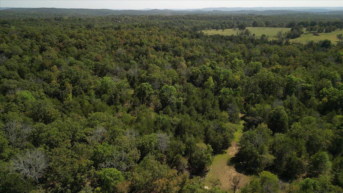 374 County Road 644 Property Photo 21