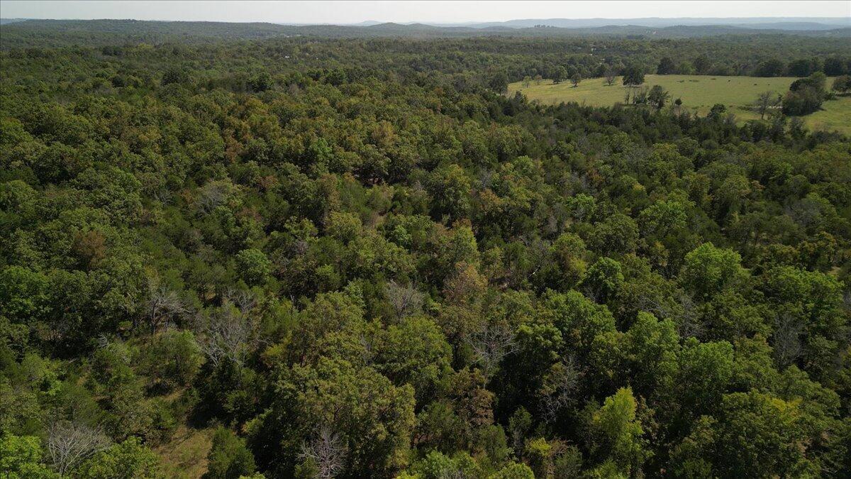 374 County Road 644 Property Photo 22