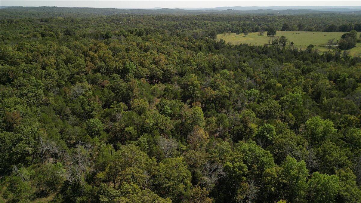 374 County Road 644 Property Photo 23