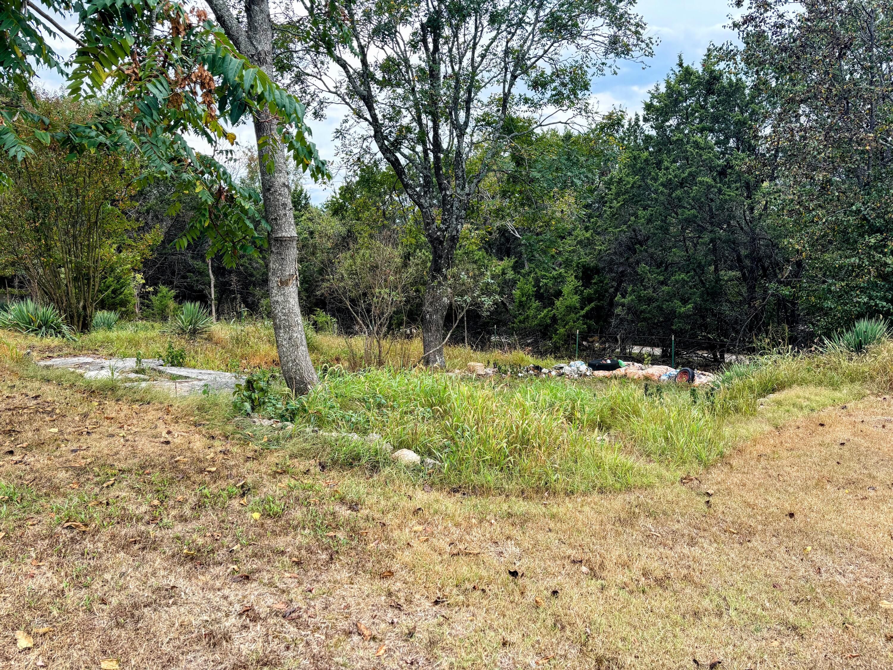 972 Showplace Gtwy Property Photo 31