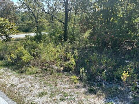 Lot 205 Black Forest Lane Property Photo 1